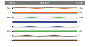 從客廳到臥室網(wǎng)線連接方案 實現(xiàn)兩臺電腦同時上網(wǎng)